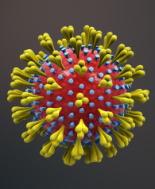 Coronavirus, anche i bambini di età inferiore a un anno vengono infettati. Lo studio